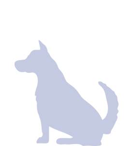 Image de la catégorie Bluetick Coonhound