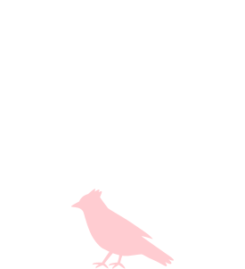Slika za kategorijo Testi za ptice